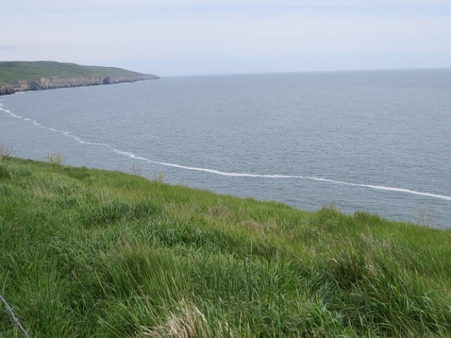 19 05 16_6546.JPG - WINSPIT & THE JURASSIC COAST, ISLE OF PURBECK, DORSET - 19.5.16 - THIS IS A N UNDERWATER ROCK RIDGE